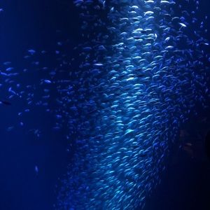 Meet your Posher, Brad